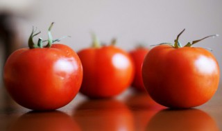 微波炉番茄炒蛋怎么做 微波炉番茄鸡蛋的做法