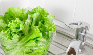 生抽蚝油汁怎么调 蚝油生菜汁怎么调