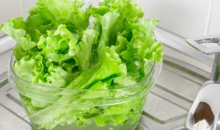 生菜怎么烧 生菜怎么烧不会变色