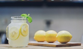 茉莉薄荷茶怎么泡 薄荷茶怎么泡