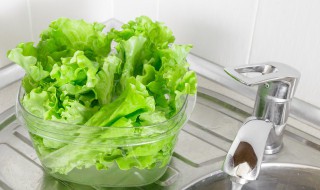 生菜可以怎么做汤 生菜可以怎么做