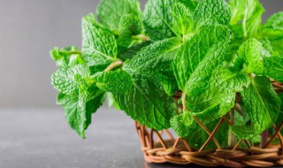 凉拌薄荷怎么做好吃 凉拌薄荷怎么做好吃要焯水吗?