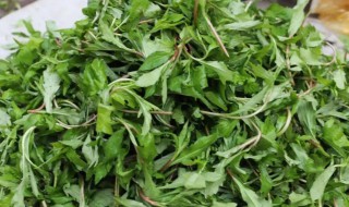 凉拌马兰头怎么做好吃 凉拌马兰头怎么做好吃窍门