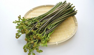 蕨菜怎么凉拌好吃么做好吃 蕨菜怎么凉拌好吃