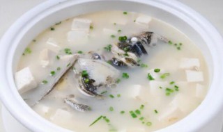 做鱼头豆腐汤选哪种鱼头好 鱼头豆腐汤买什么鱼头好