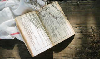 为什么称孔夫子是圣人?（为什么称孔夫子是圣人）
