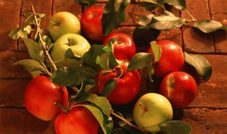 果树春季施肥时间 春季果树什么时间施肥