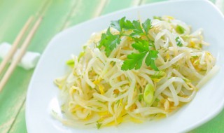 怎么做豆芽 在家怎么发豆芽