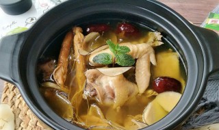 五指毛桃煲汤大全窍门 用五指毛桃煲汤怎么煲才好喝