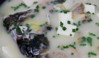 怎么才能做清淡不腥的胖头鱼汤 怎么才能做清淡不腥的胖头鱼汤呢