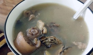 蚝豉怎样煲汤才好喝 蚝豉怎么煲汤