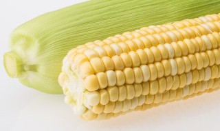 怎么做玉米汁像外面卖的一样好喝 怎么做玉米汁像外面卖的一样好喝呢