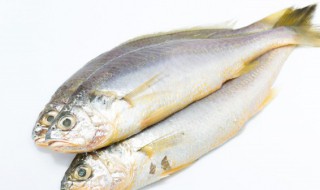 咸鱼煲的做法大全家常 咸鱼煲汤怎么煲