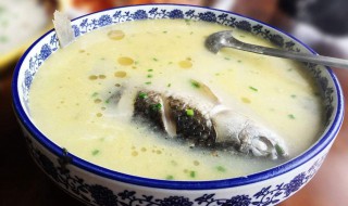 如何做鲫鱼汤才好喝 鲫鱼怎么做汤才好吃