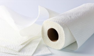 卫生纸是什么材料做的（卫生纸是什么做成的）