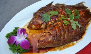 酱焖鲫鱼的做法窍门 酱闷小鲫鱼的家常做法