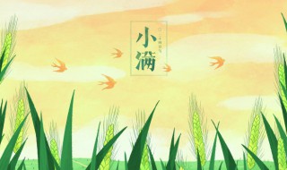 小满的谚语 小满的谚语或知识