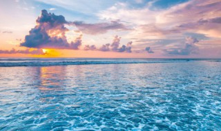 海底植物有哪些 常见的海底植物有哪些