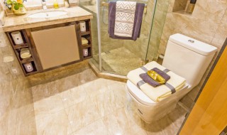 厕所苍蝇太多怎么处理 公共厕所苍蝇多怎么办