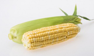 电磁炉煮玉米大概要煮多久才熟 电磁炉煮玉米大概要煮多久才熟透