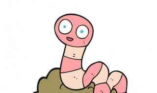 蚯蚓喜欢吃什么食物 蚯蚓喜欢吃什么食物?