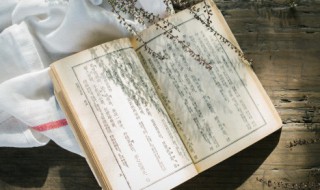 含音的古风名字 带儿的古风名字