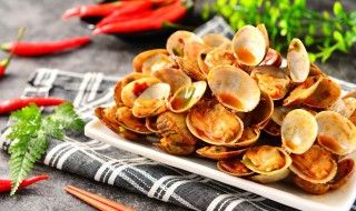 育苗场花蛤苗的养殖方法（花蛤苗培育养殖）