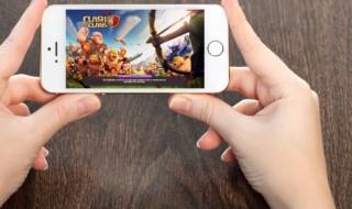 口袋妖怪什么值得培养（口袋妖怪适合培养的宠物）