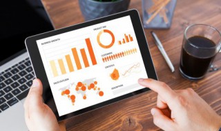 口袋妖怪什么克制龙系（口袋妖怪什么系克龙系）