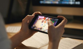 倩女幽魂手游偃师带什么宝宝（倩女幽魂手游偃师宠物携带搭配推荐）