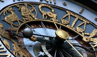 属鼠的人适合养什么宠物（属鼠的人养什么动物好最好）