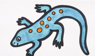 壁虎喜欢吃什么食物（壁虎一般吃什么食物）