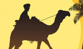 骆驼吃什么食物（骆驼吃什么食物最好）