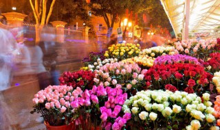 月季有花苞能施肥吗（月季花长花苞可以追肥吗）