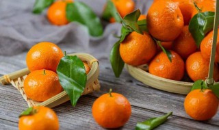 桔子施肥施什么肥最好 桔子盆栽施什么肥