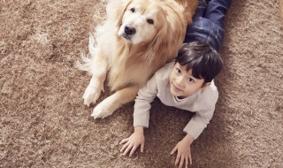 儿童适合养什么宠物（自闭症儿童适合养什么宠物）