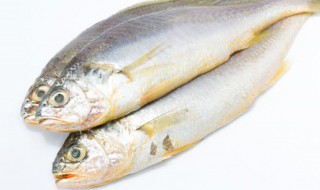 东北小鱼酱的家常做法 东北鱼酱的家常做法大全