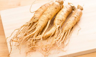 室内人参种子怎么催芽（人参种子在家怎么催芽）