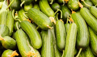 丝瓜种子怎么催芽（丝瓜种子怎么催芽视频）