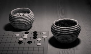 围棋棋子什么材质的好（围棋 材质）