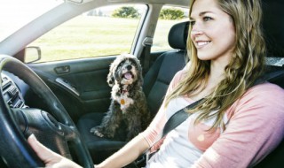 汽车座套买什么材质的好 汽车座套什么材质的好?