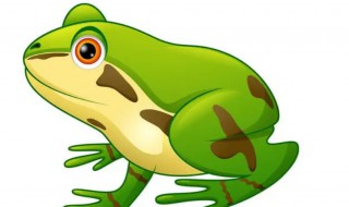 野生牛蛙是保护动物吗 牛蛙 野生动物保护