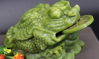 金蟾什么材质的好（金蟾什么材质的好有威力）