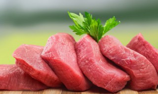 瘦肉和什么炖怎么做好吃又嫩呢 瘦肉怎么炖是比较好