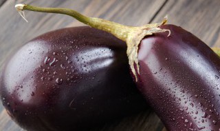 正宗四川烧椒凉拌茄子的做法 四川烧茄子的做法大全