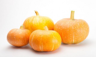 南瓜种子怎么催芽 南瓜种子怎么催芽和种植