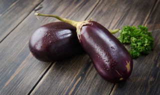 茄子催芽浸泡种子需多少时间 茄子种子一般多久发芽