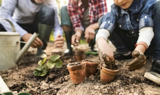 如何养好虎皮榕（北方冬季如何养虎皮榕）