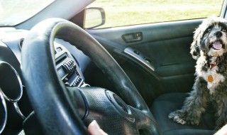 汽车空调多久加一次氟（汽车空调多久加一次氟多少钱）