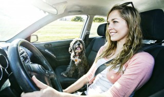 汽车雪种多久加一次（汽车加雪种需要多久）